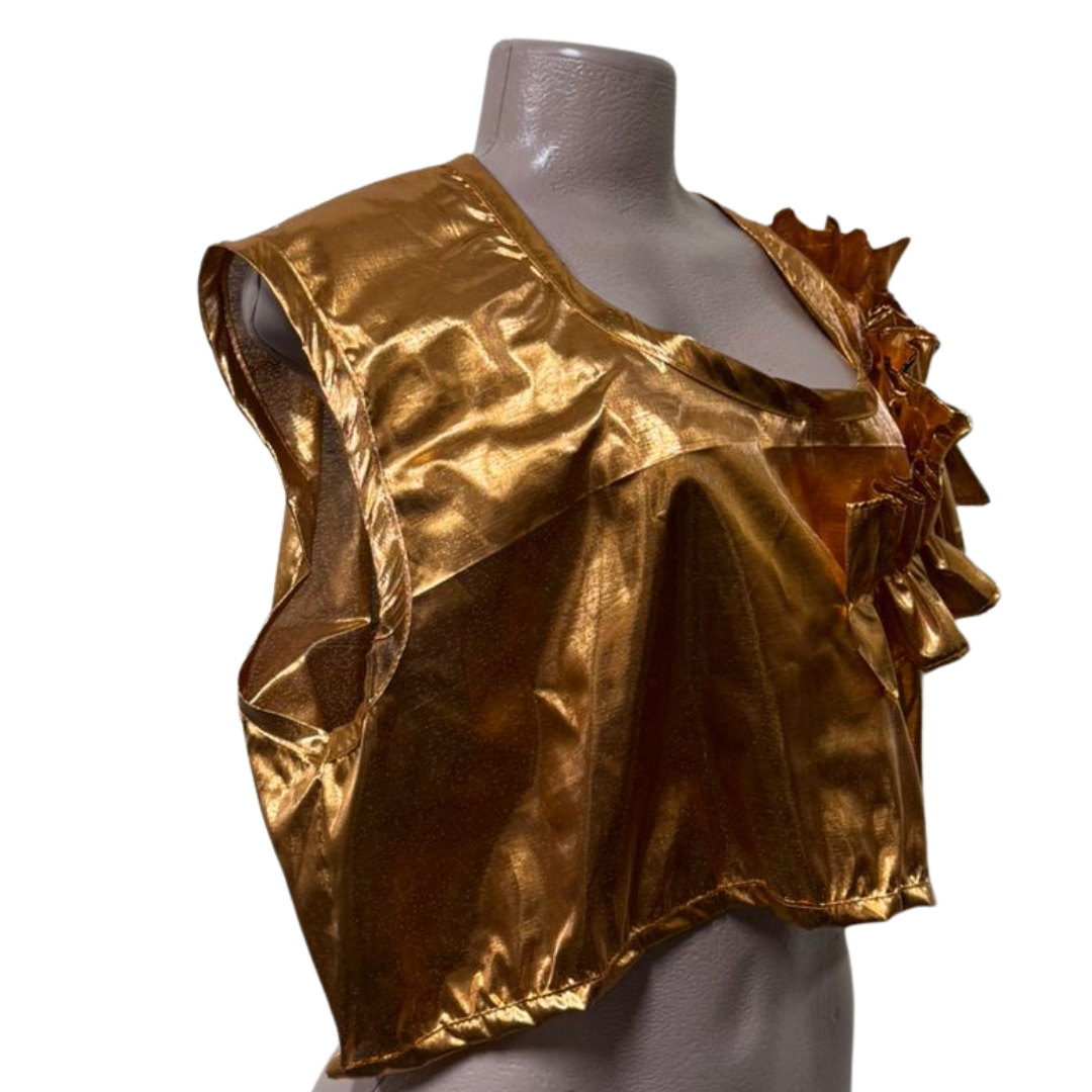 Metallic Gold Frill Crop Top – Radiant, Playful, and Bold
