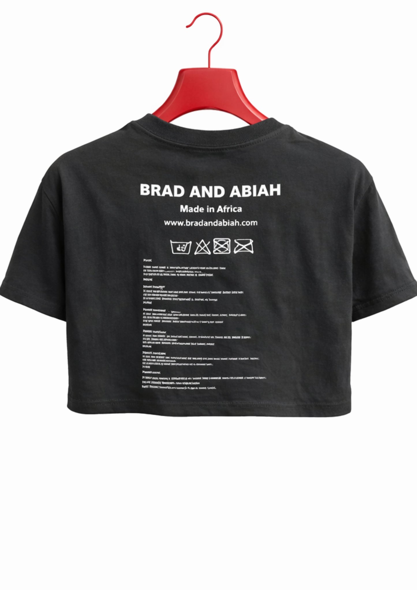 alt="Black Tiger graphic tee designer streetwear South Africa Brad & Abiah AMEN"